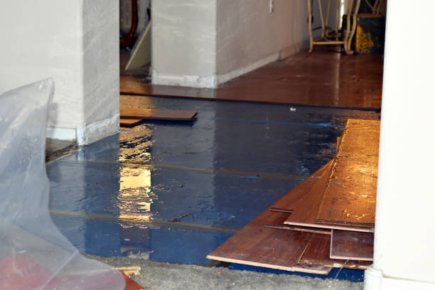 Professional Basement Water Removal technician working in Brent, FL